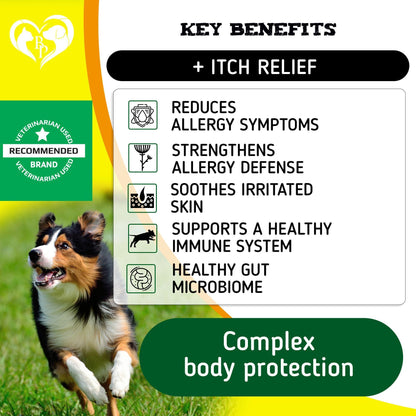 Dog Allergy Relief Chews for Itchy Skin