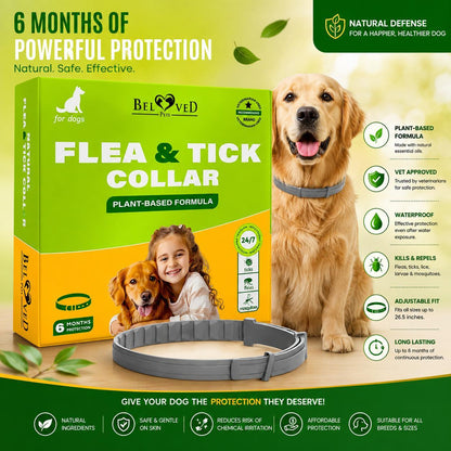 Natural Flea & Tick Collar for Dogs