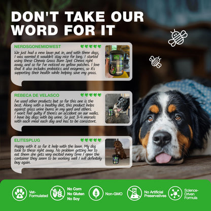 Grass Burn Spot Chews for Dogs – Lawn Saver