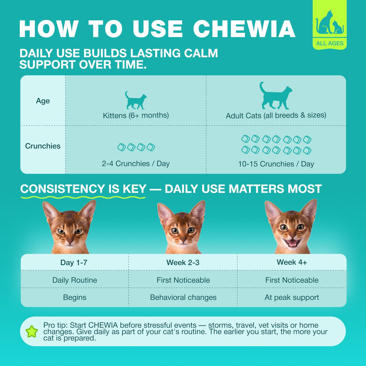 Calming Cat Vitamins & Treats for Anxiety