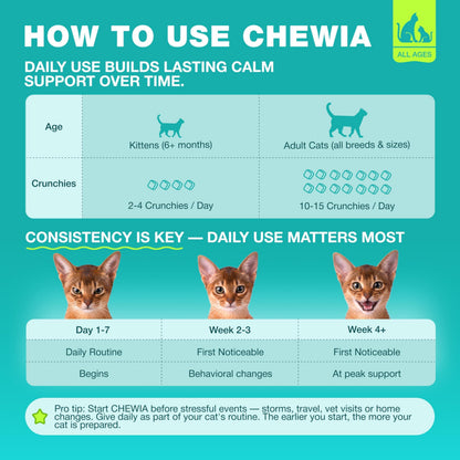 Calming Cat Vitamins & Treats for Anxiety