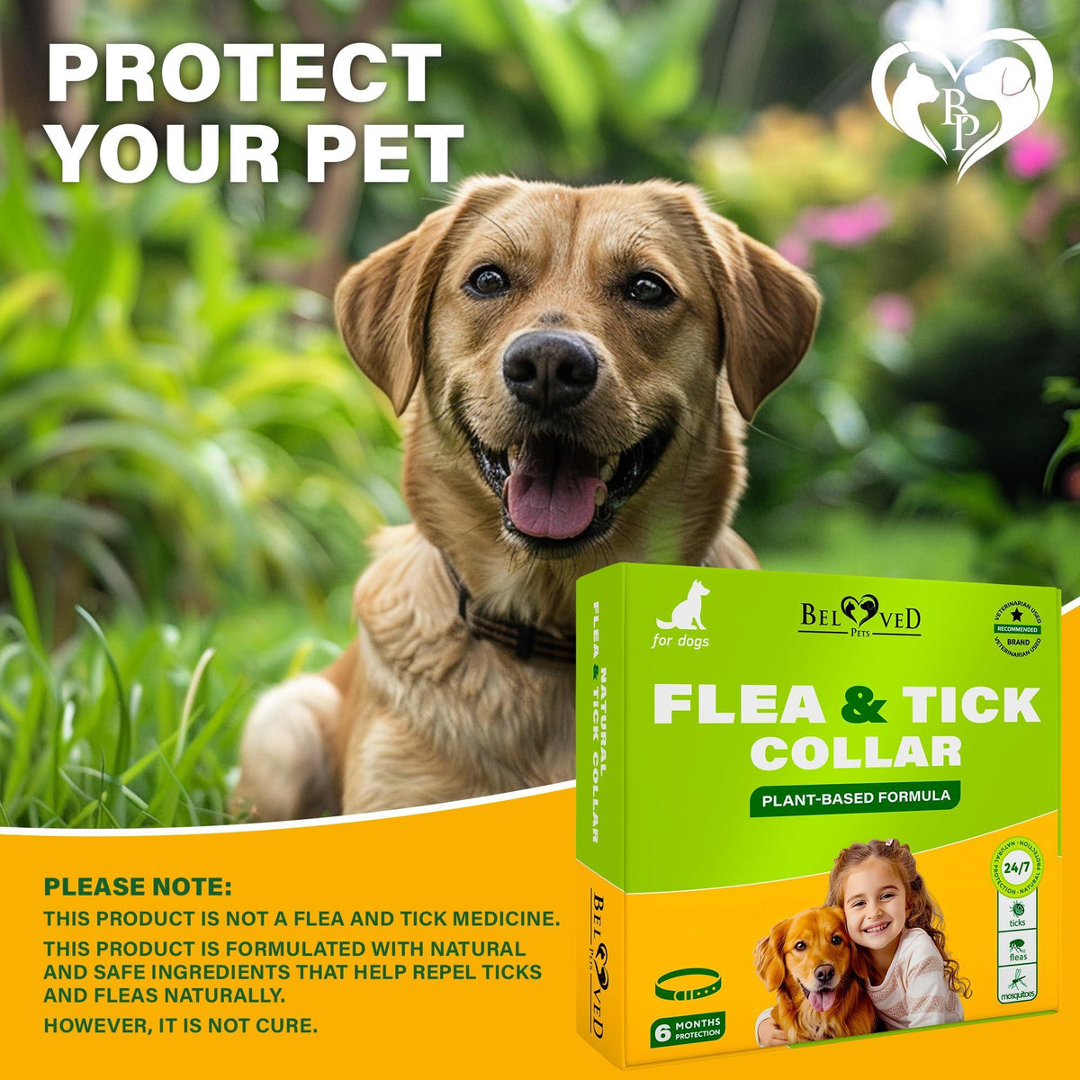Natural Flea & Tick Collar for Dogs