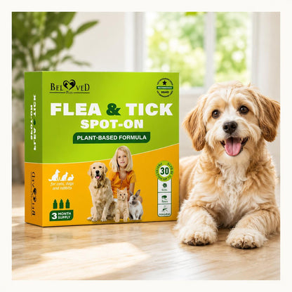 Natural Flea Tick Prevention for Cats & Dogs
