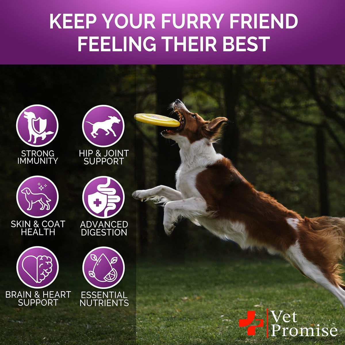 Dog Multivitamin Chews with Glucosamine for Joint Health