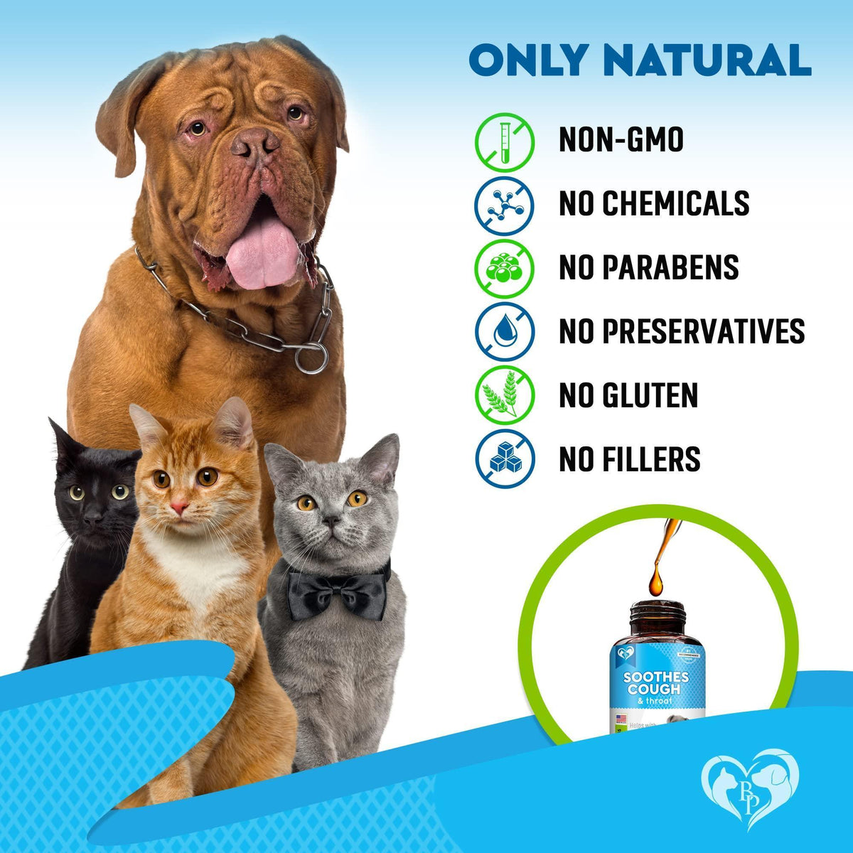Kennel Cough Treatment for Dogs & Cats