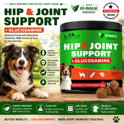 Dog Hip & Joint Supplements for Senior Dogs