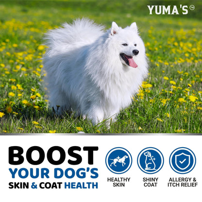 Omega 3 Fish Oil Chews for Dogs