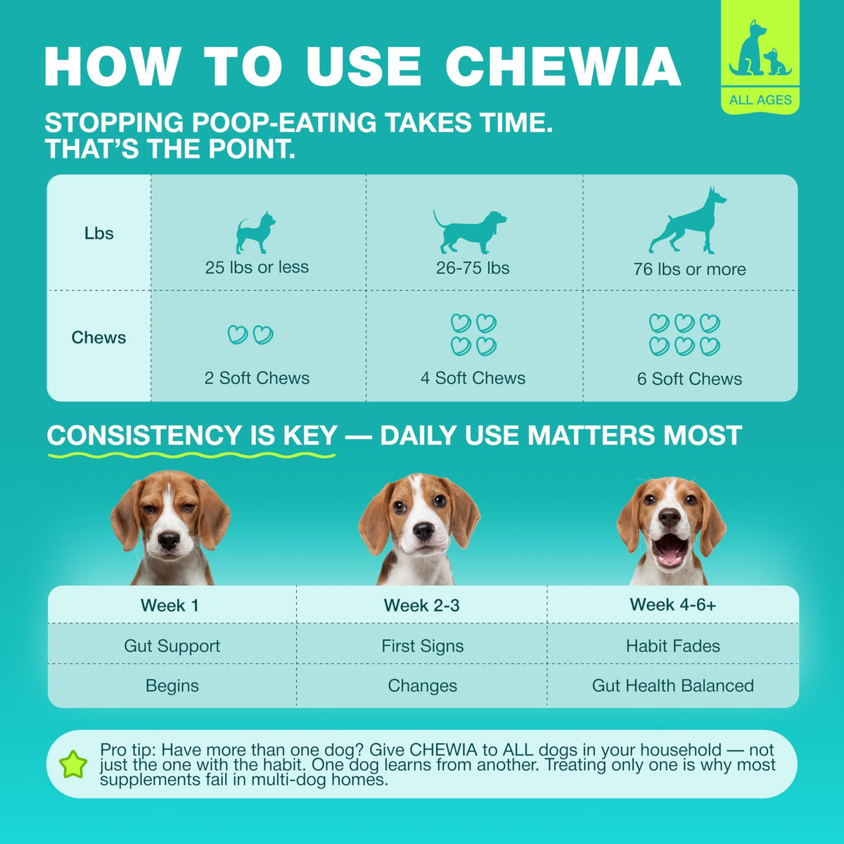 No-Poo Chews for Dogs – Stool Eating Deterrent