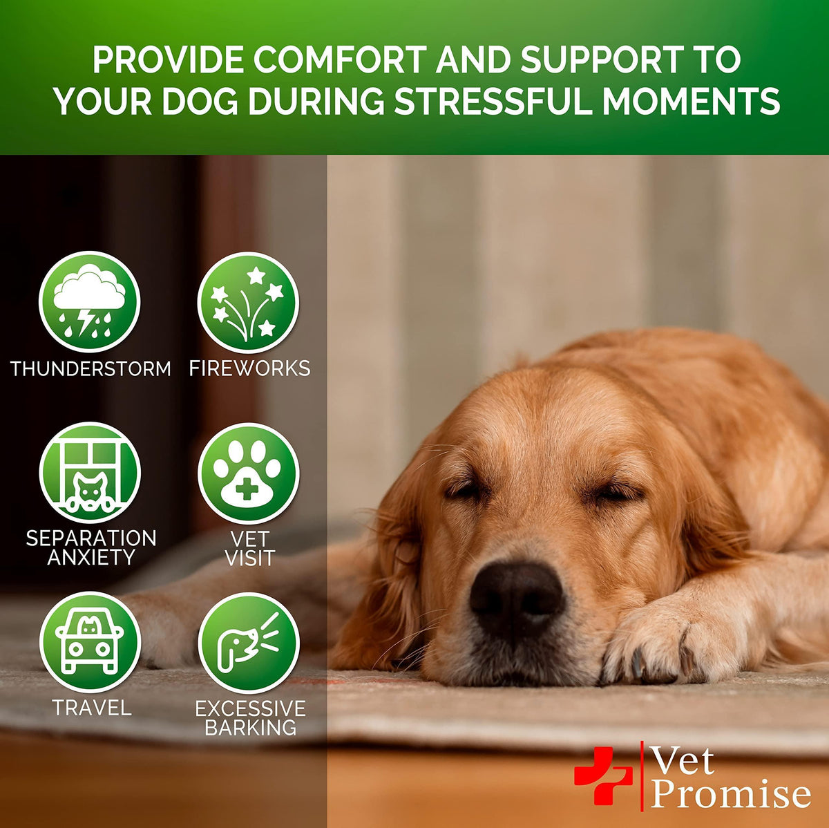 Hemp Calming Chews for Dogs with Anxiety