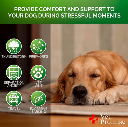Hemp Calming Chews for Dogs with Anxiety
