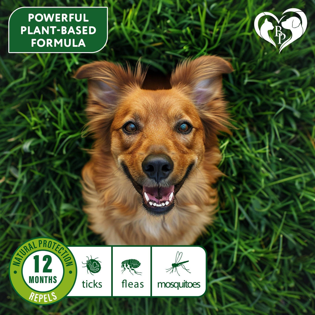 Natural Flea & Tick Collar for Dogs | 6-Month Protection