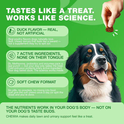 Grass Burn Spot Chews for Dogs – Lawn Saver