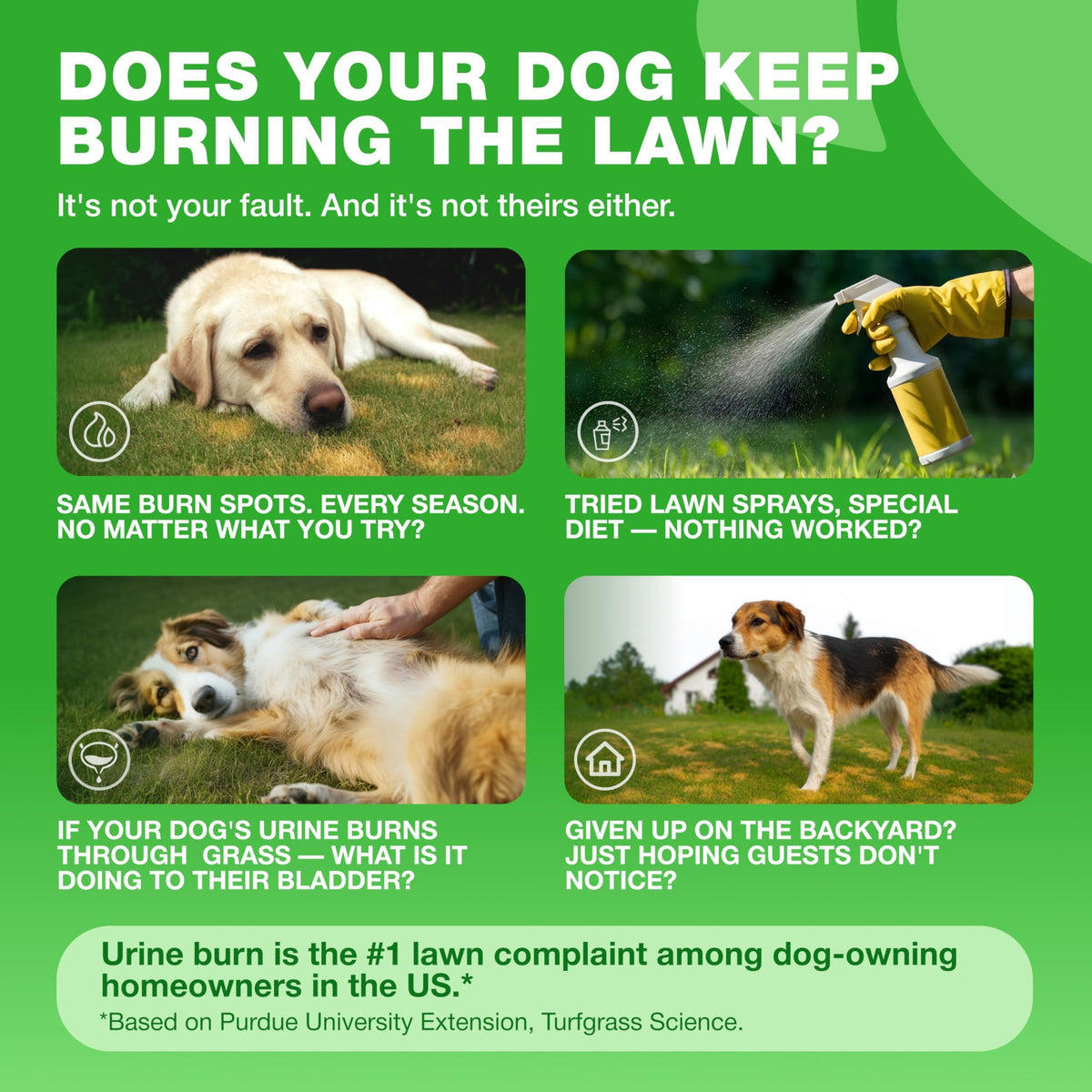 Grass Burn Spot Chews for Dogs – Lawn Saver