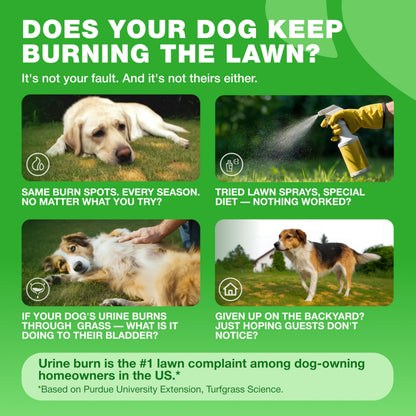 Grass Burn Spot Chews for Dogs – Lawn Saver