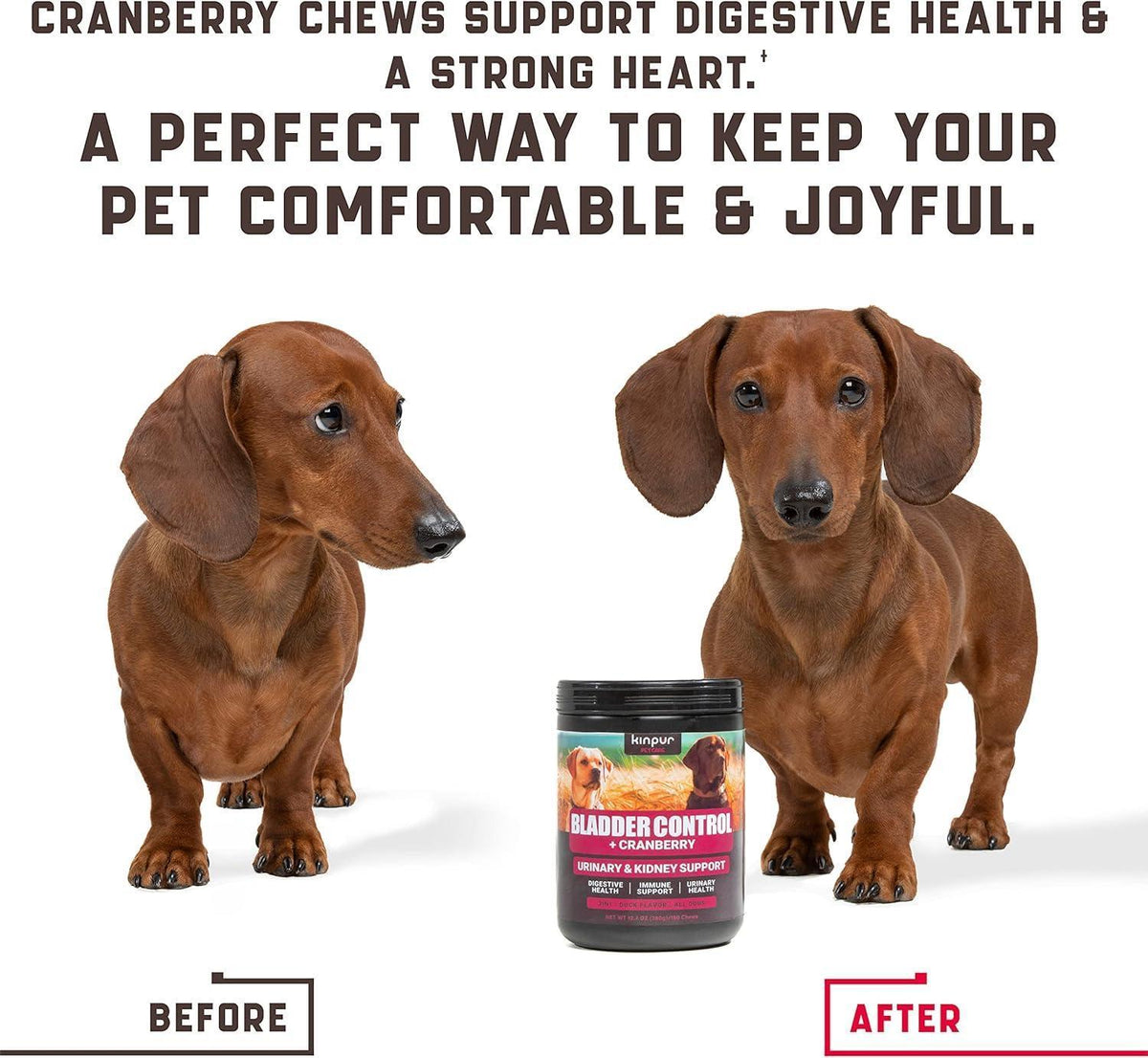 Dog UTI Treatment Chews with Cranberry for Urinary Health