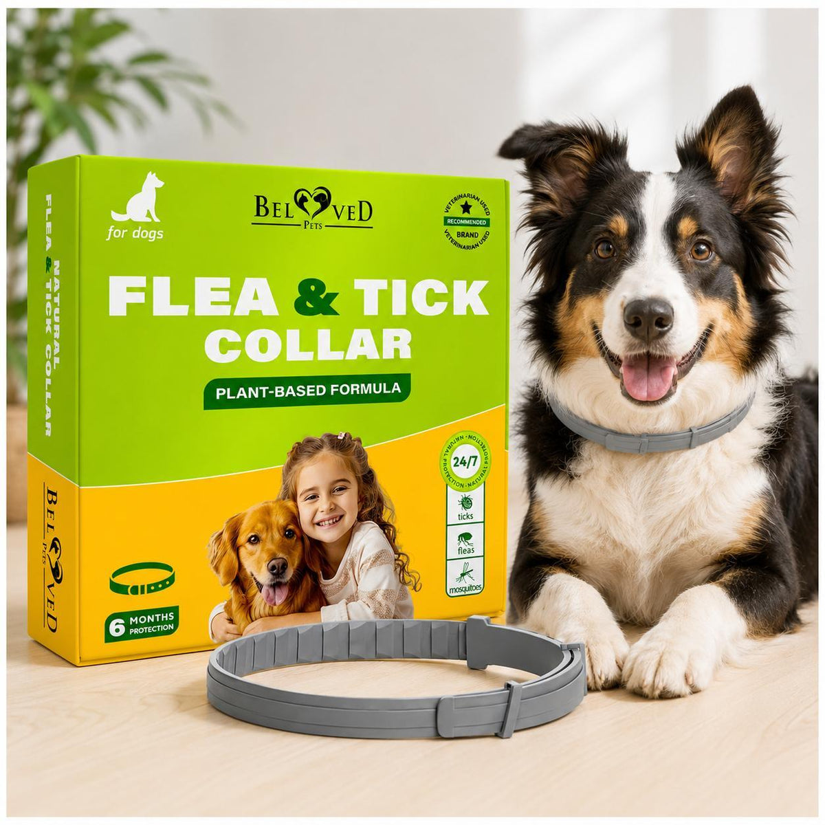 Natural Flea & Tick Collar for Dogs
