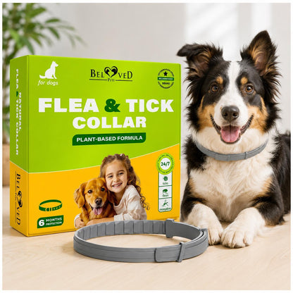 Natural Flea & Tick Collar for Dogs