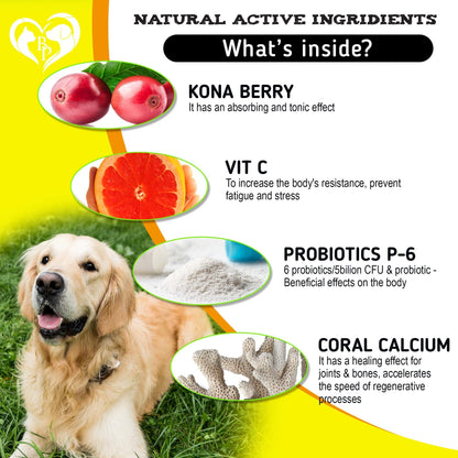 Dog Allergy Relief Chews for Itchy Skin
