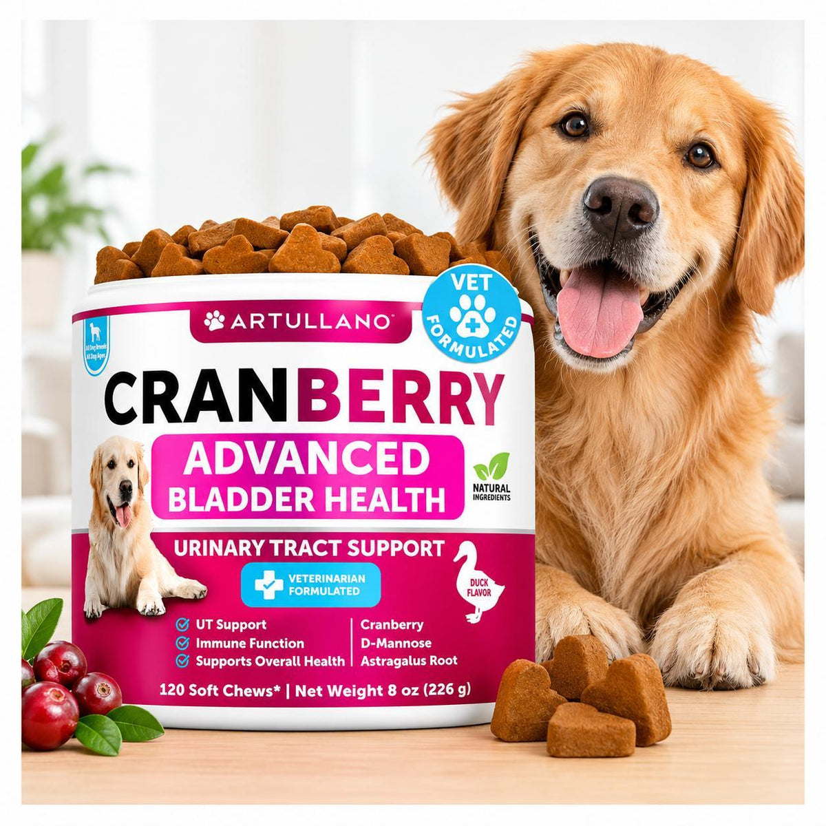 (2 Pack) Dog Urinary Tract Cranberry Chews