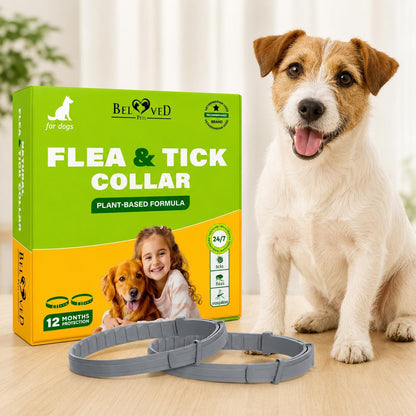 Natural Flea & Tick Collar for Dogs | 6-Month Protection