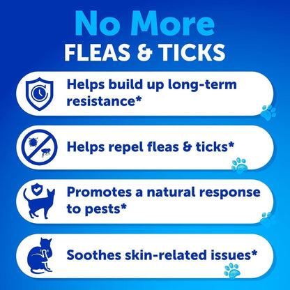 Natural Flea Treatment & Tick Prevention for Cats