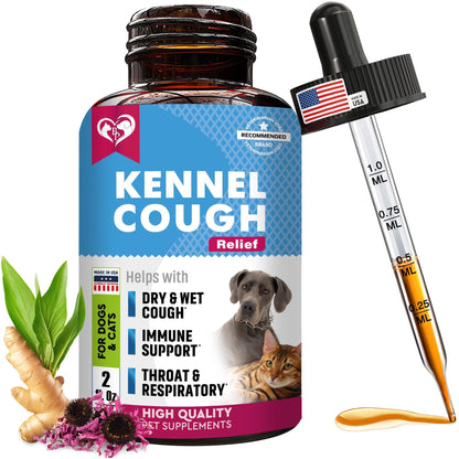 Kennel Cough Treatment for Dogs & Cats