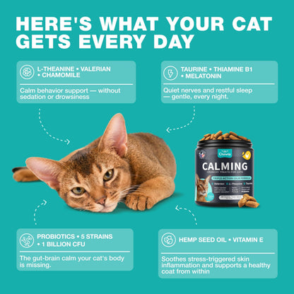 Calming Cat Vitamins & Treats for Anxiety