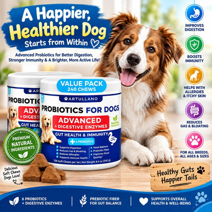 Dog Probiotic Chews for Gut Health & Immunity