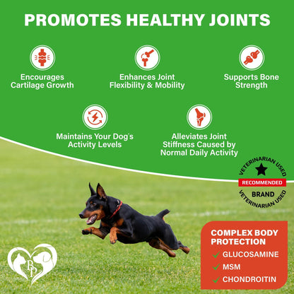 Dog Hip & Joint Supplements for Senior Dogs