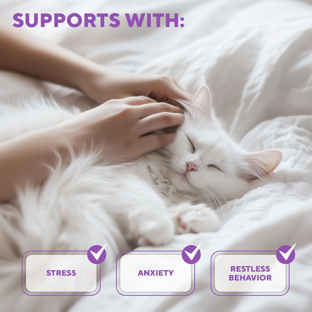 Calming Pheromone Spray for Cats – Scratch & Stress Relief