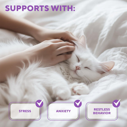 Calming Pheromone Spray for Cats – Scratch & Stress Relief