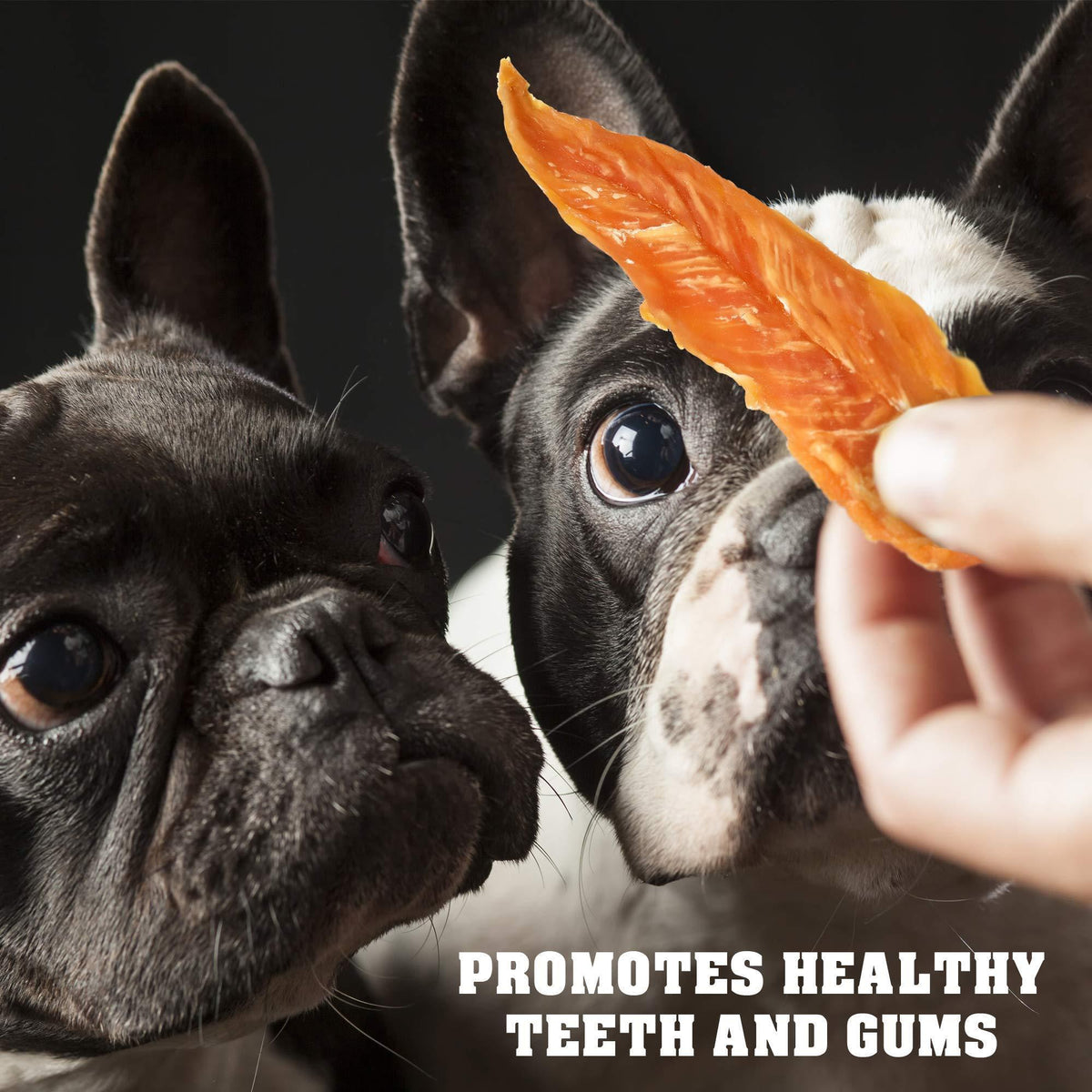 Chicken Jerky Dog Treats – Human Grade Natural