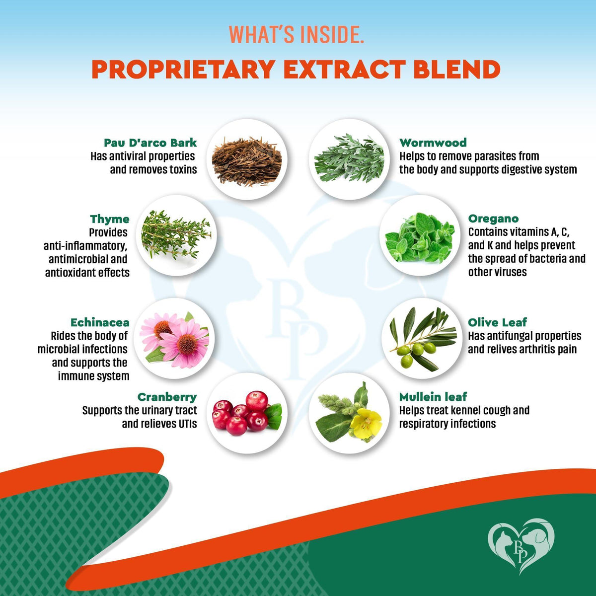 Natural Herbal Antibiotics for Cats & Dogs Support