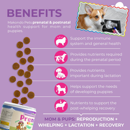 Dog Prenatal Vitamins for Pregnant Nursing Dogs