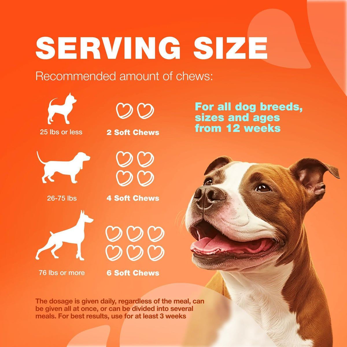 Glucosamine Chondroitin Joint Chews for Dogs