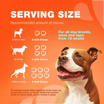 Glucosamine Chondroitin Joint Chews for Dogs