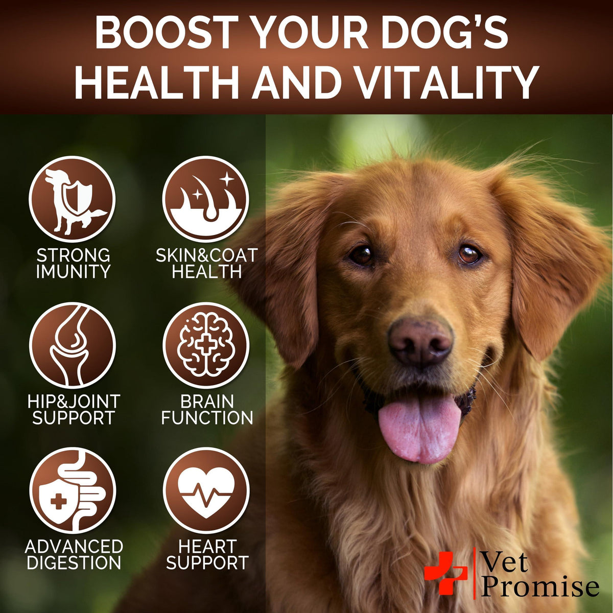 Turkey Tail Mushroom Supplement Chews for Dogs