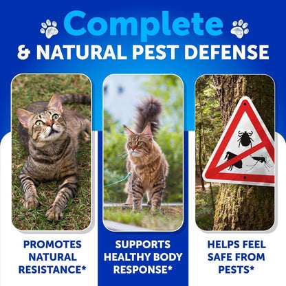 Natural Flea Treatment & Tick Prevention for Cats