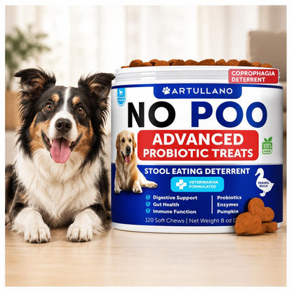 No Poo Chews for Dogs – Stop Poop Eating