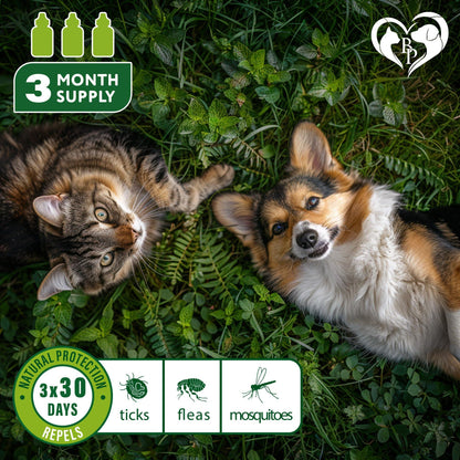 Natural Flea Tick Prevention for Cats & Dogs