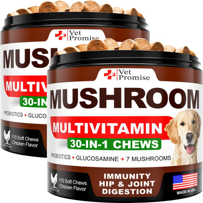 Mushroom Supplement for Dogs – 340 Chews