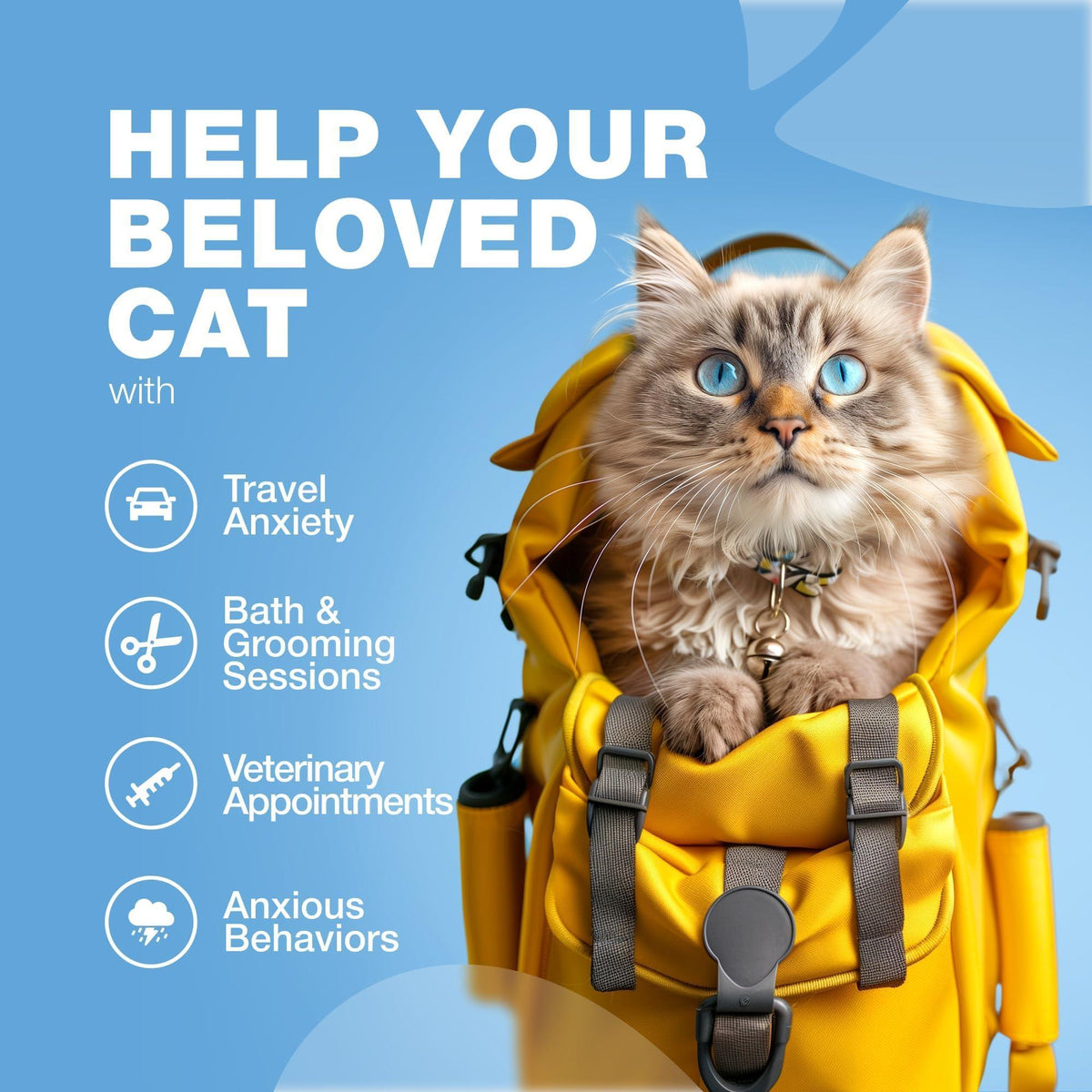 Cat Calming Treats with Hemp & Melatonin Chews