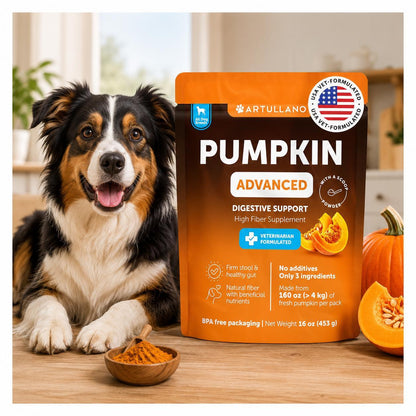 Pumpkin Powder for Dogs Digestive & Gut Support