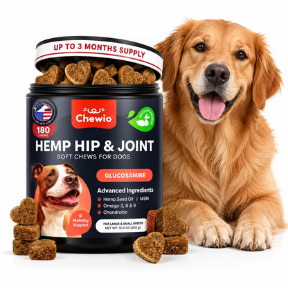 Glucosamine Chondroitin Joint Chews for Dogs