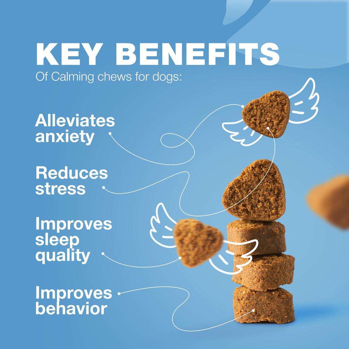 Hemp Calming Chews for Dogs Anxiety Relief