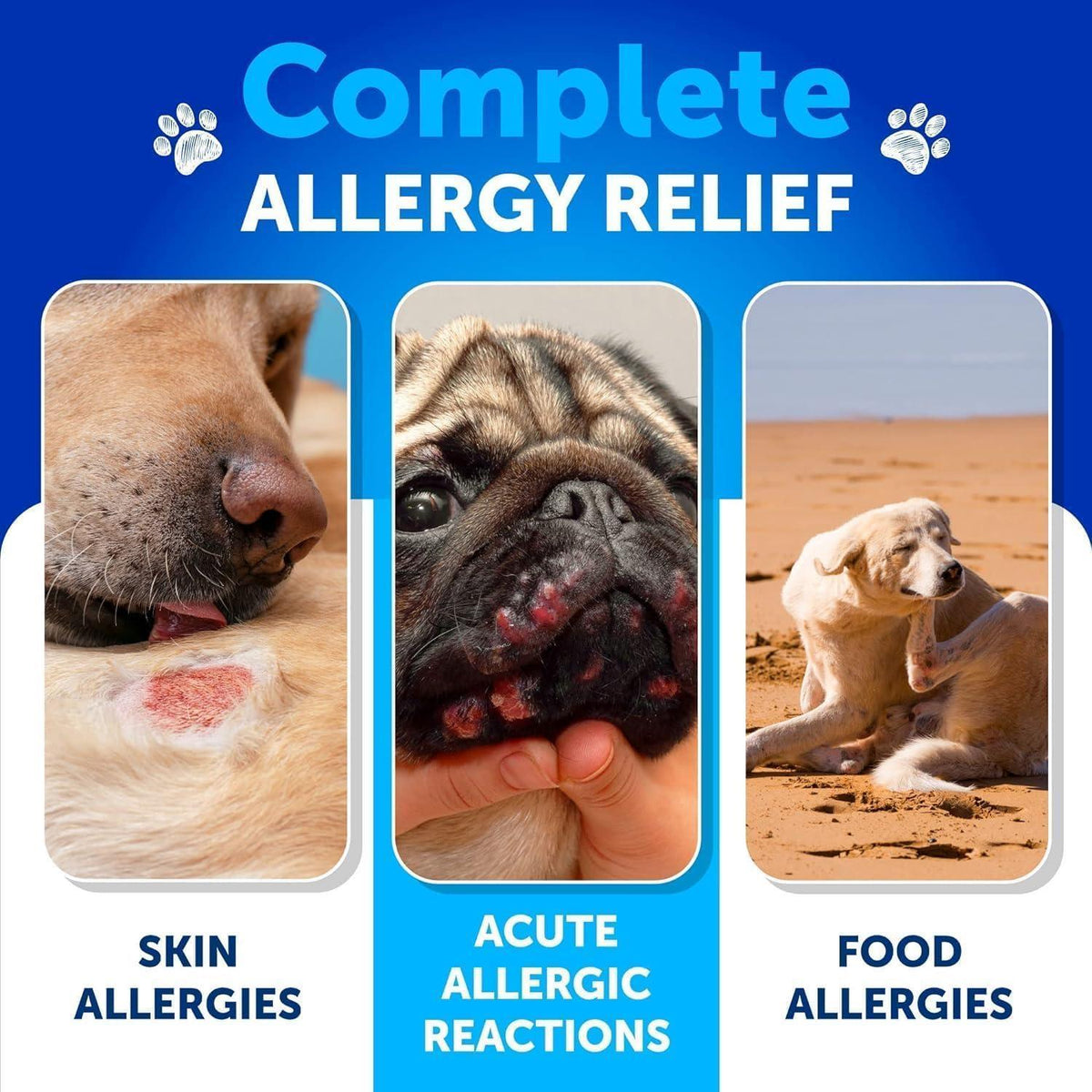 Dog Allergy Relief Chews for Itching & Skin