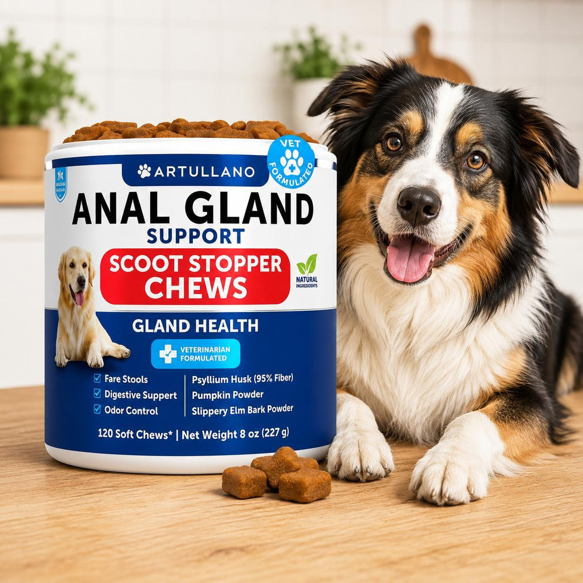 Anal Gland Support Chews for Dogs – Fiber Blend