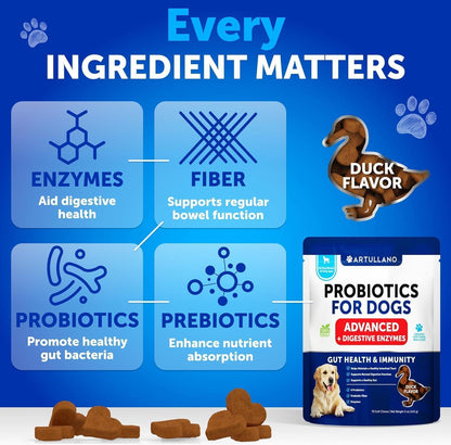 Dog Probiotic Chews for Gut Health