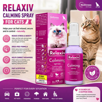 Calming Pheromone Spray for Cats – Scratch & Stress Relief