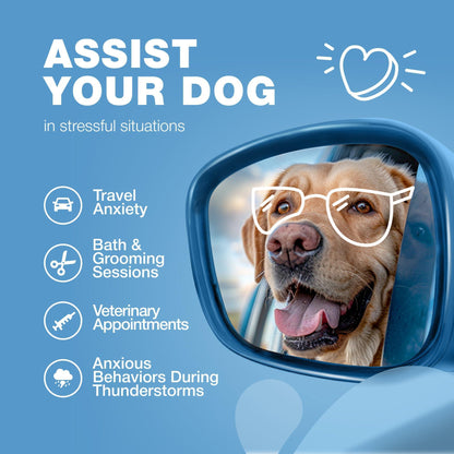 Hemp Calming Chews for Dogs Anxiety Relief